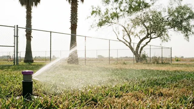 Aerobic septic spray head throwing treated water over a grass lawn with palms, mesquite and chain-link behind, near McAllen, Texas